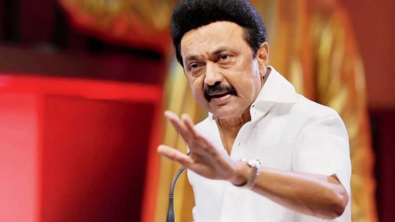 Tamil Nadu CM Stalin slams BJP's Karur delegation, alleges political motive